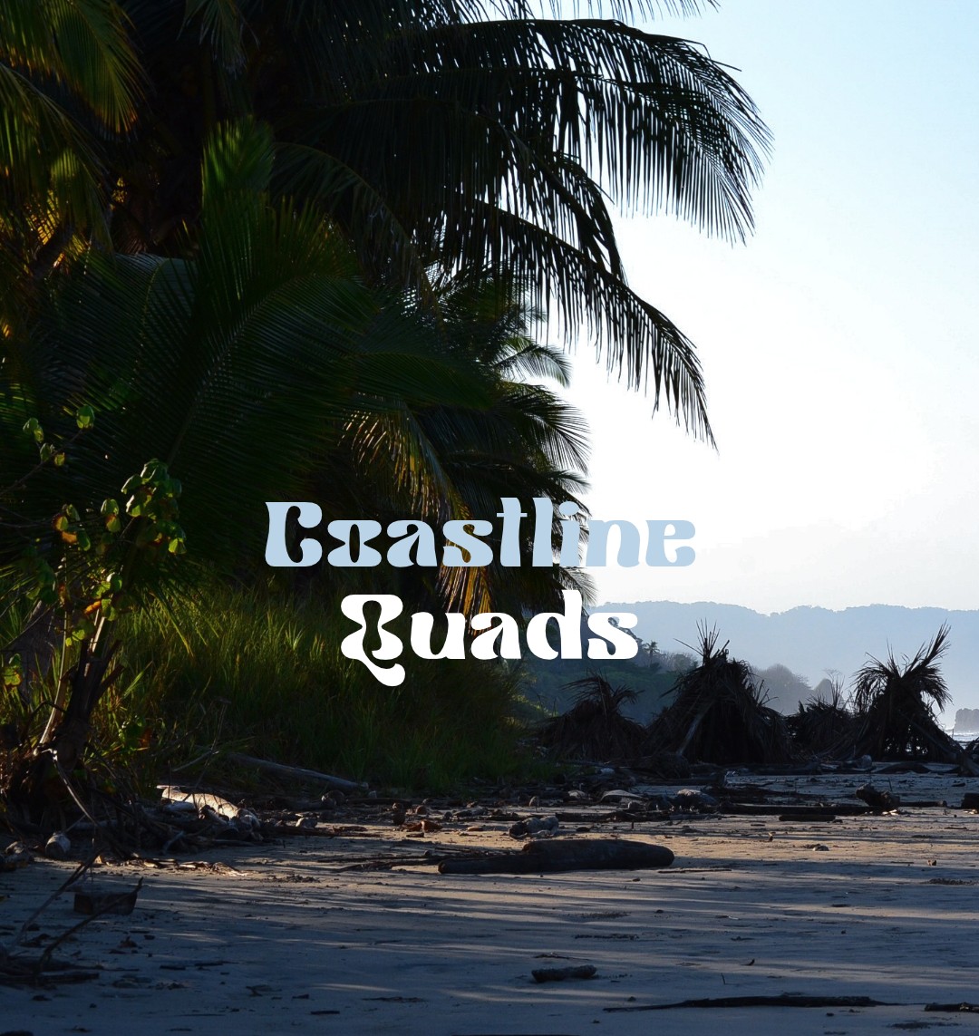 Coastline Quads, palm trees over the beach in Santa Teresa